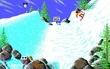 California Games II_Disk2 screen shot game playing